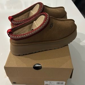 Chestnut Tazz Slippers